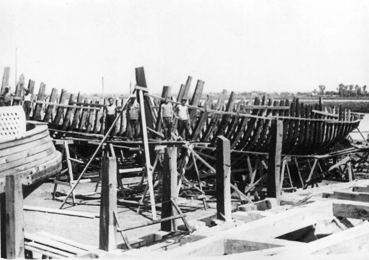 Строительство дубов (1948 г.)