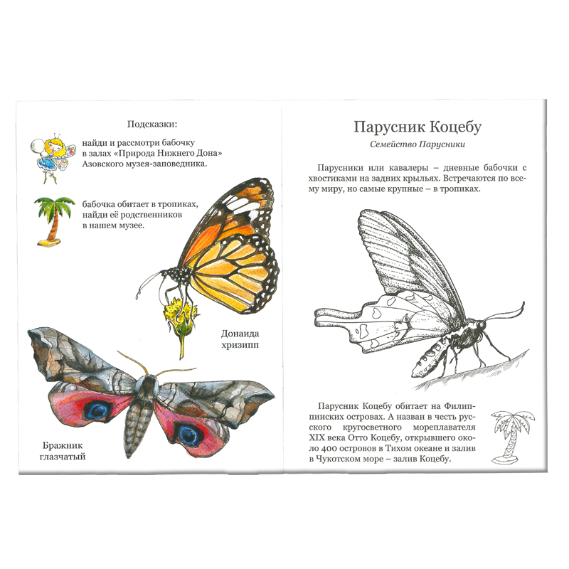 Раскраска "Бабочки"