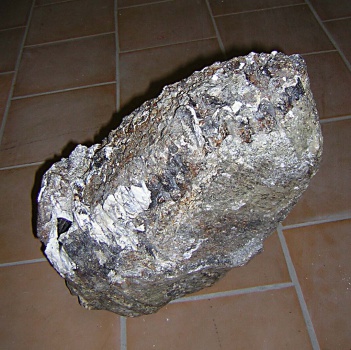 Правый верхний третий постоянный коренной зуб М3 dex скелета самки трогонтериевого мамонта Mammuthus trogontherii.