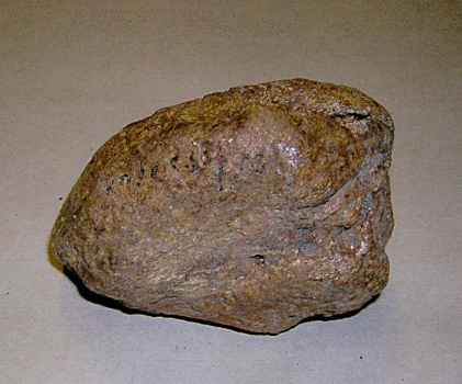 Сезамовидная кость динотерия Deinotherium giganteum Kaup.