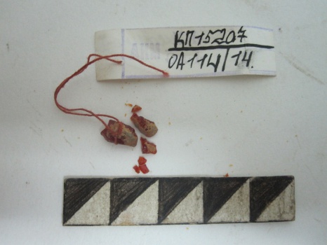 Бусины янтарной - фр-ты (4).