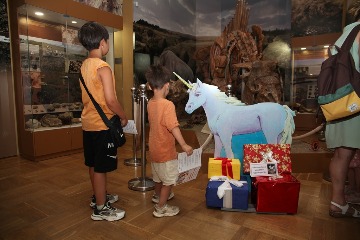 IMG_4149.JPG