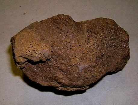 2-я фаланга 4-го пальца правой передней кисти динотерия ph II, IV dig ant dex Deinotherium giganteum Kaup.
