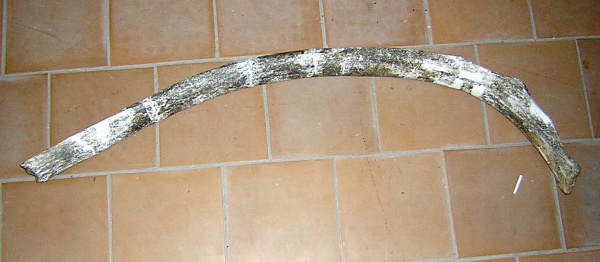 Левое ребро costa sin передней части грудного отдела скелета самки трогонтериевого мамонта Mammuthus trogontherii из раскопа 1999 г.