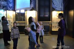 Овечкины истории