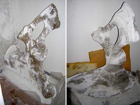 Две тазовые кости (os pelvis dex и sin) (а,б) скелета самки трогонтериевого мамонта Mammuthus trogontherii из раскопа 1999 г.