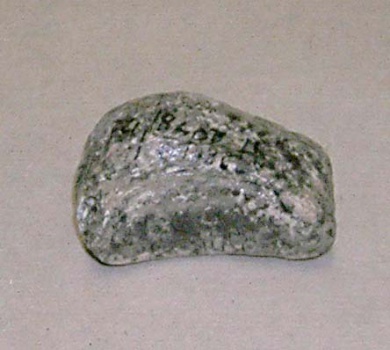 Сезамовидная кость скелета трогонтериевого мамонта Mammuthus trogontherii.