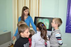 Сказка о лесной красавице