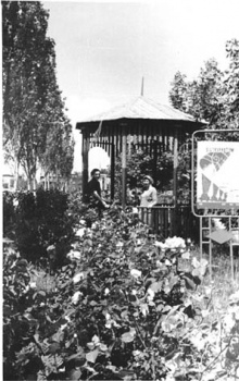 Фото. Сквер у цеха Азовского оптико-механического завода