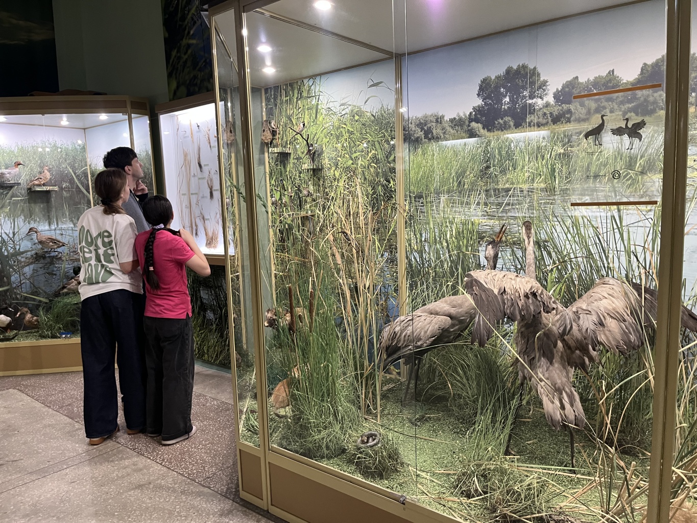 «Увлекательная орнитология» для студентов и их родителей