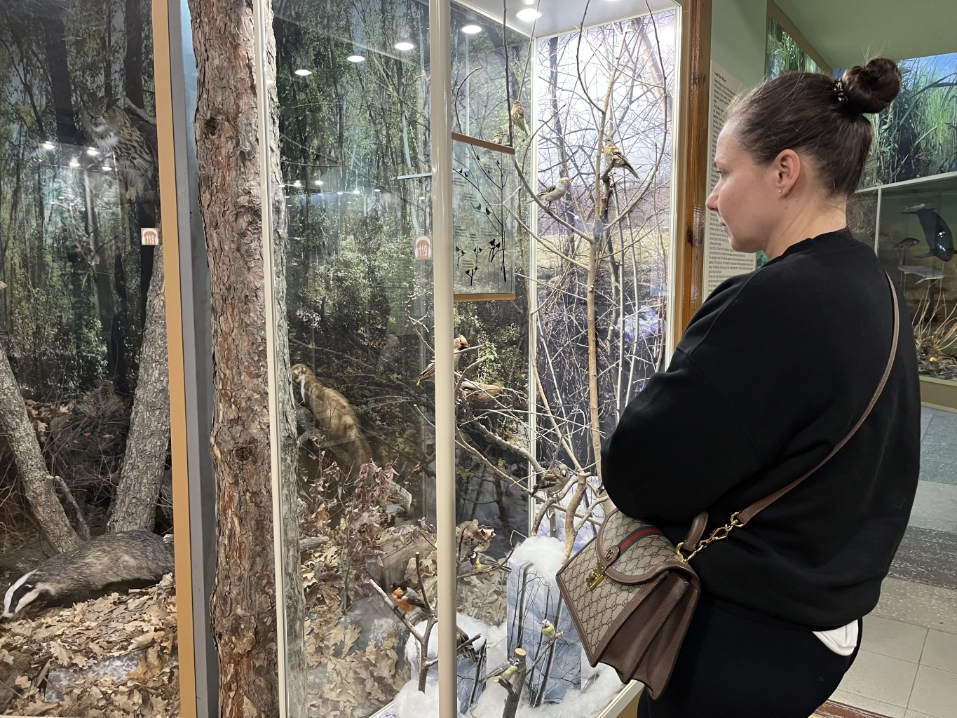 «Увлекательная орнитология» для студентов и их родителей