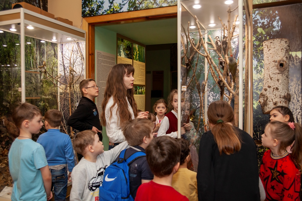 Декабрьская Декада Добра