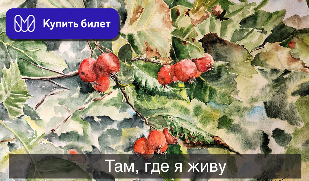 Там, где я живу