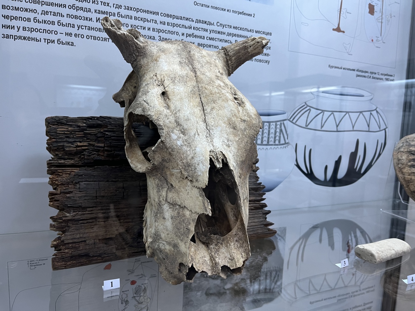 Тайны земляных пирамид: следы детства