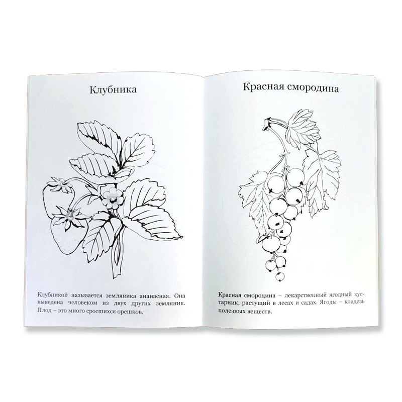 съедобная раскраска