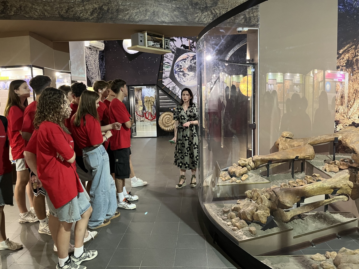 Программа «Рептилии»