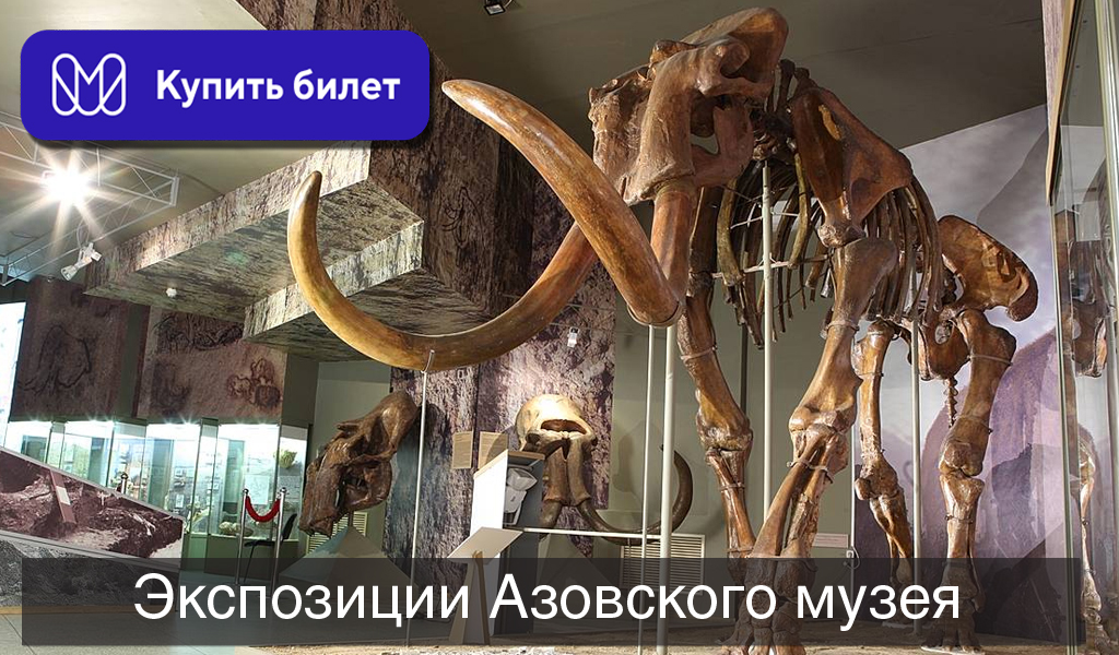 Экспозиции Азовского музея-заповедника