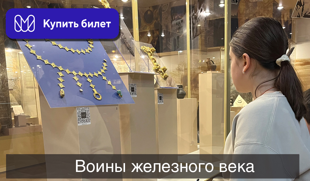 Воины железного века.jpg Воины железного века.jpg