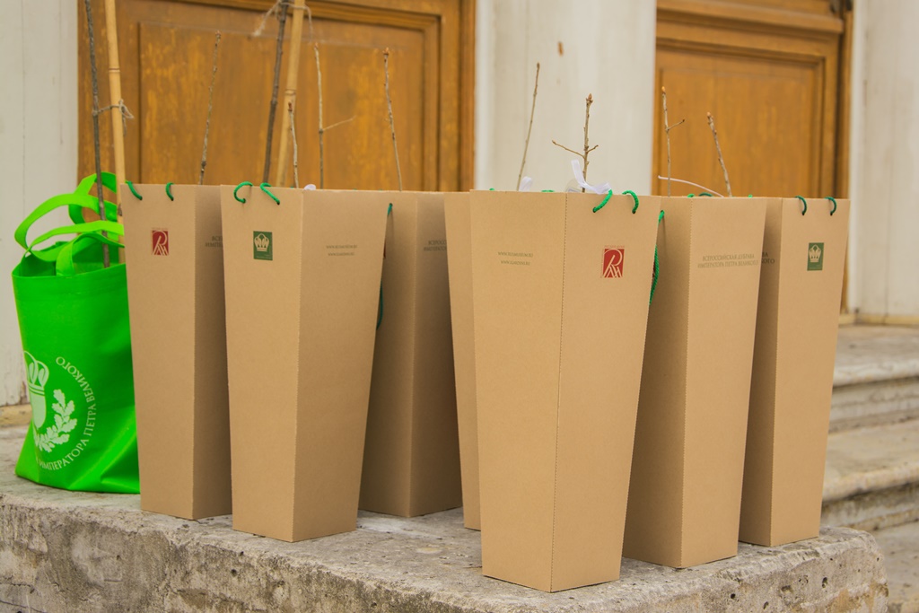 Торжественная передача саженцев дуба петровского времени Торжественная передача саженцев дуба петровского времени