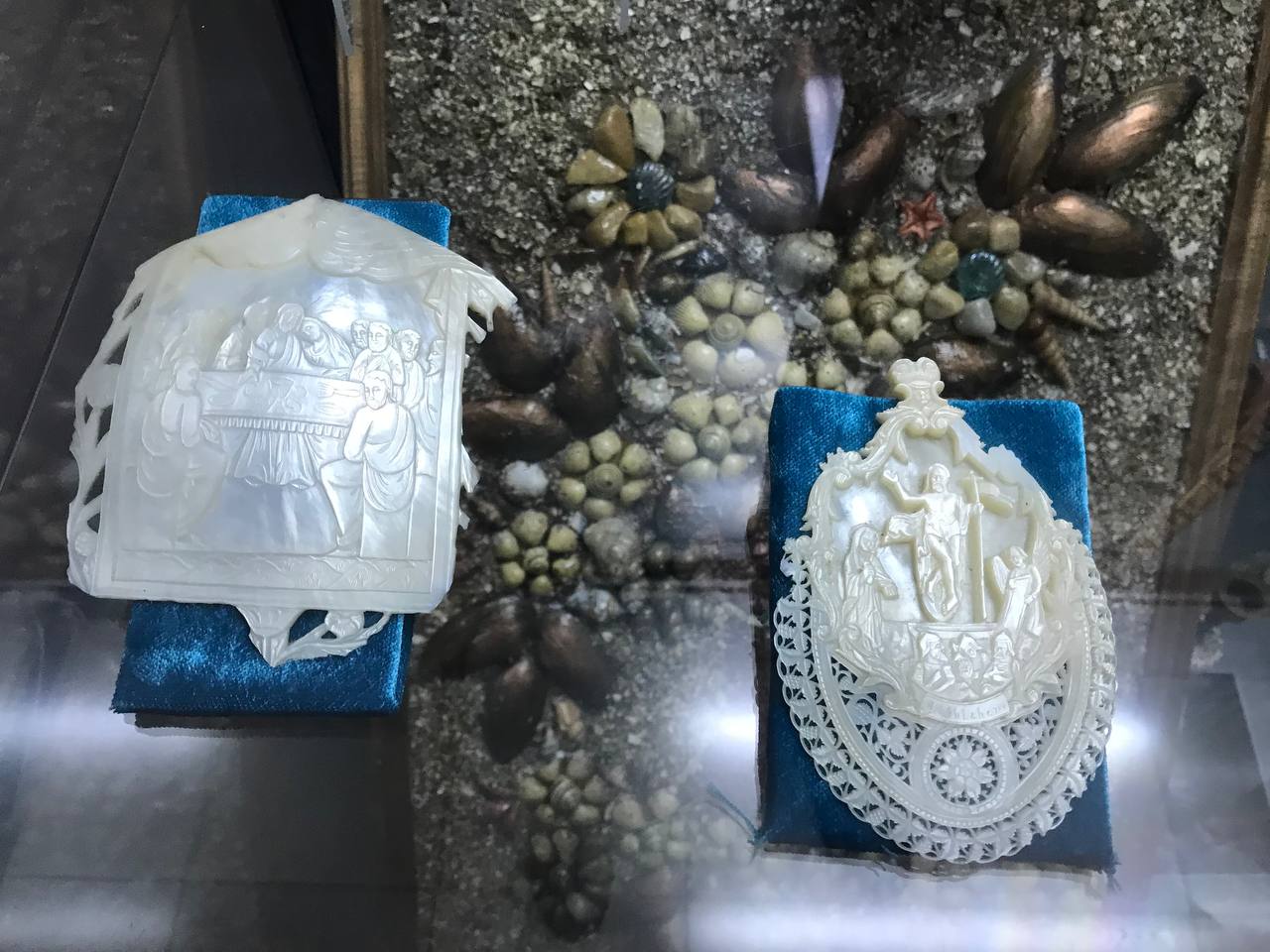 В царстве мягкотелых