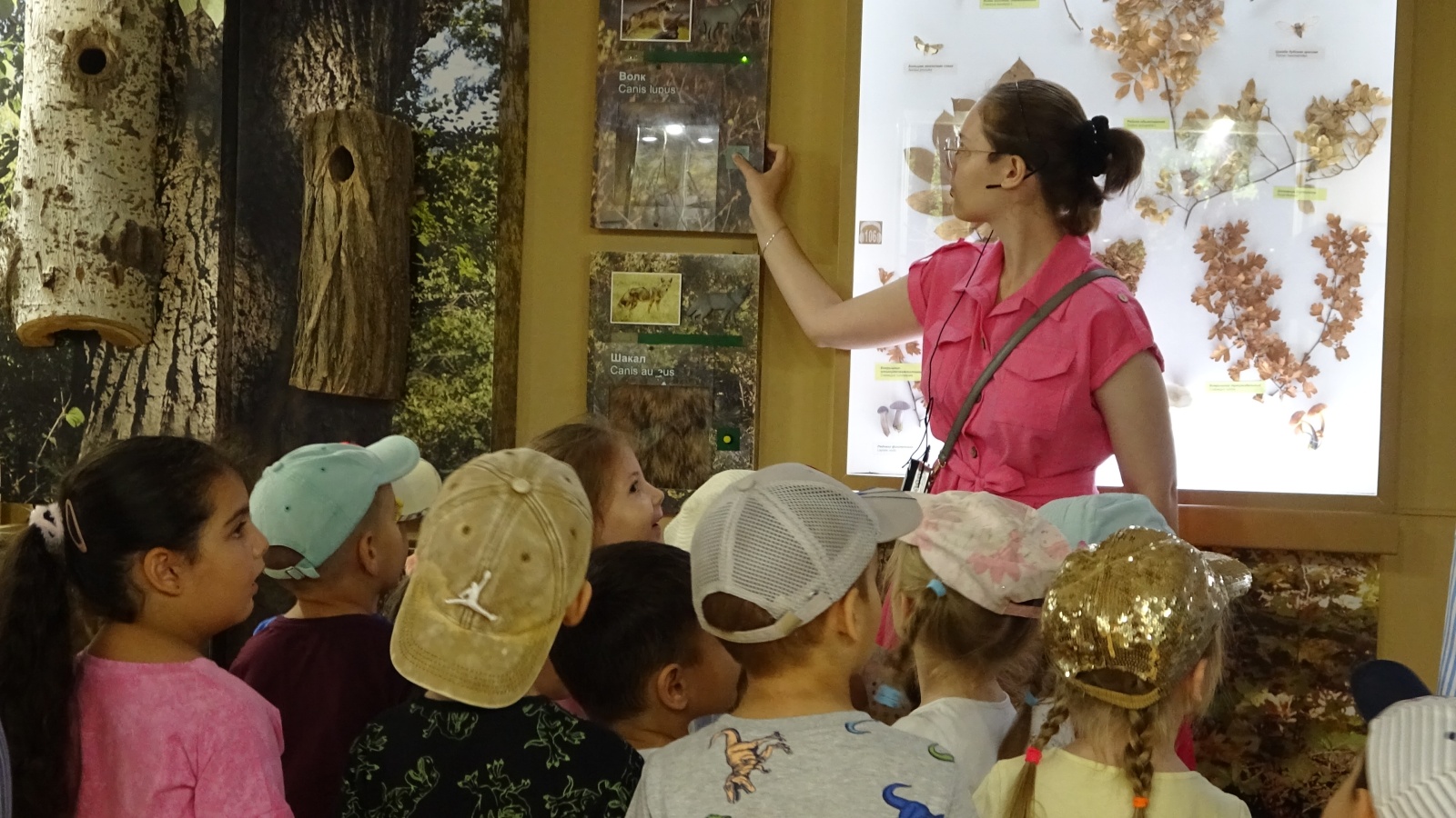 Начало высокого сезона Начало высокого сезона