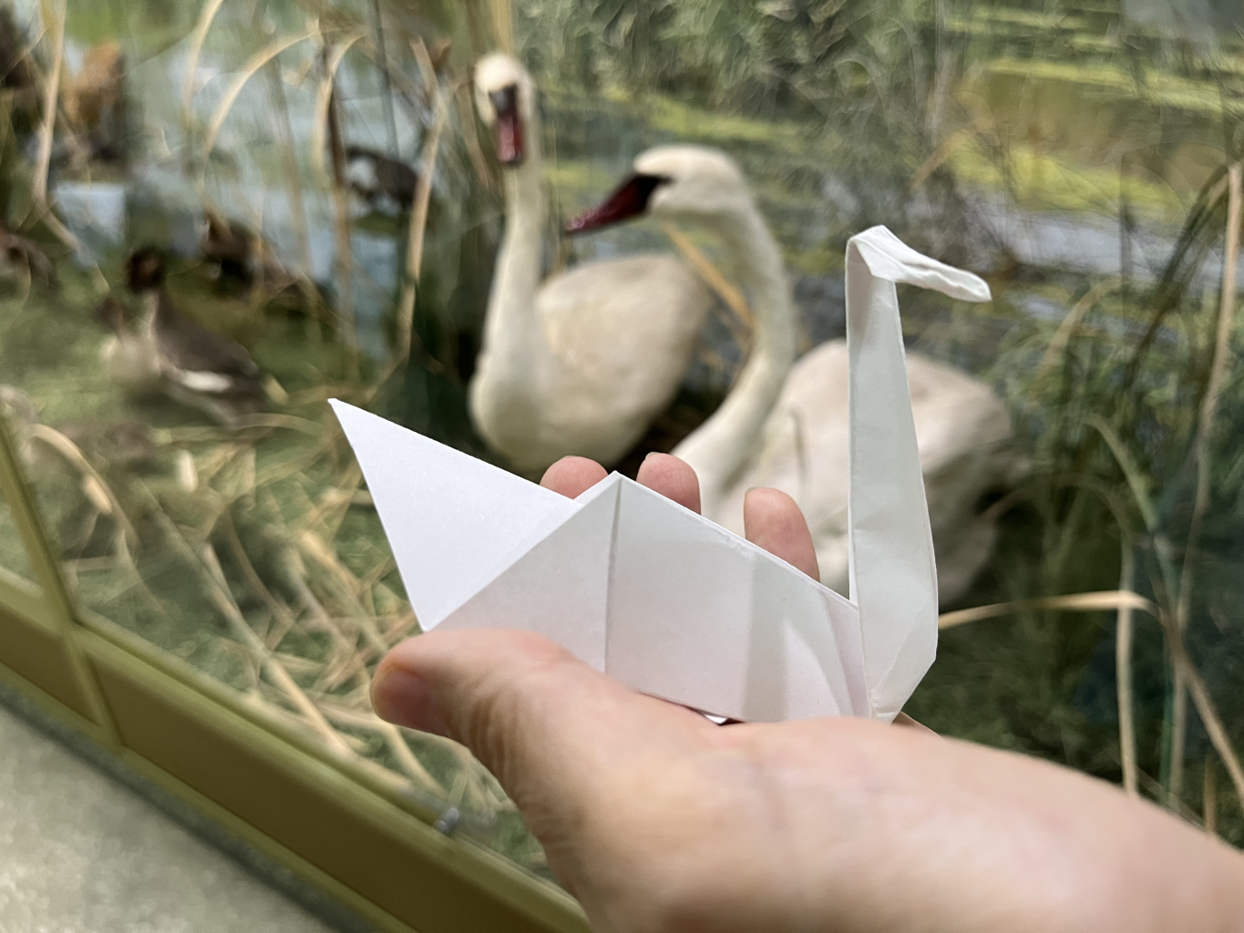 В музее прошло мероприятие, посвящённое Дню семьи, любви и верности В музее прошло мероприятие, посвящённое Дню семьи, любви и верности