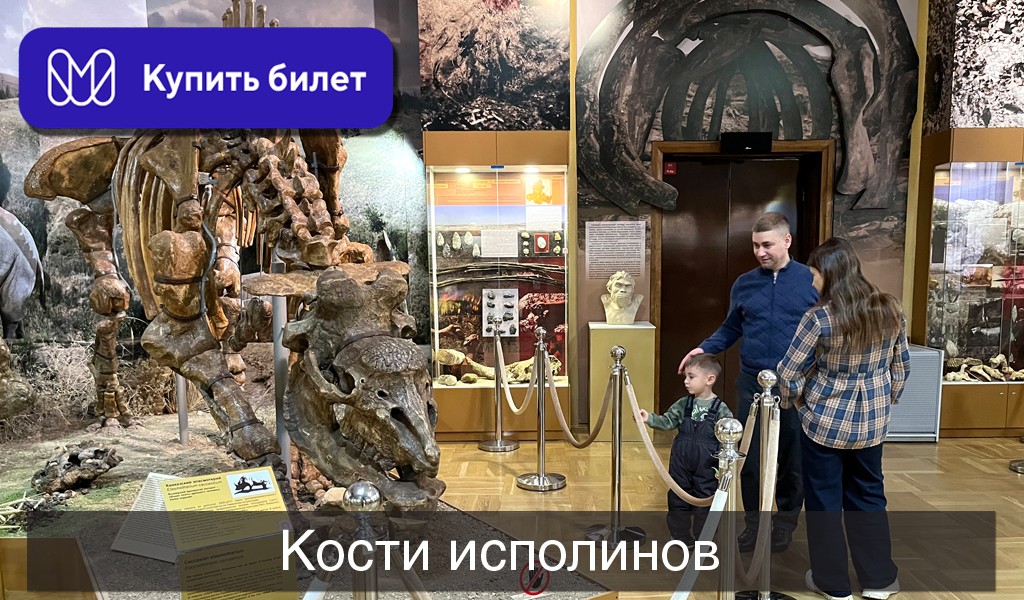Кости исполинов