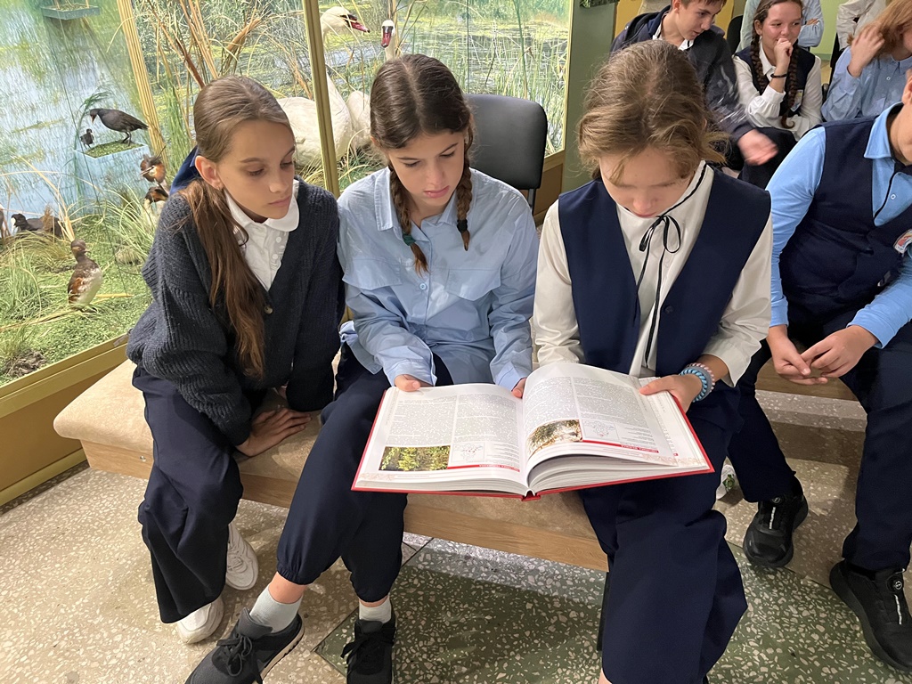 Музейные лекции для школьников Музейные лекции для школьников