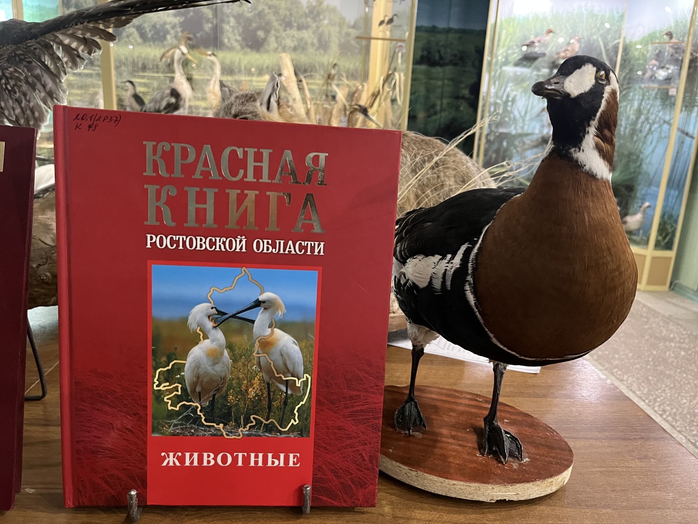 Музейные лекции для школьников Музейные лекции для школьников