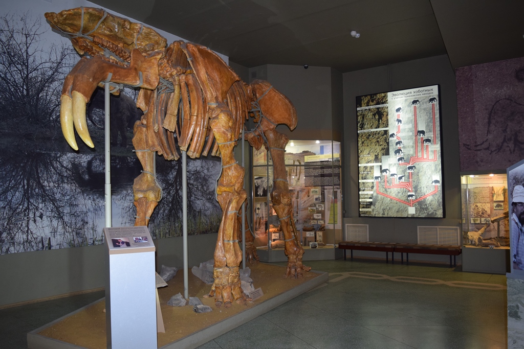 Следы земной памяти