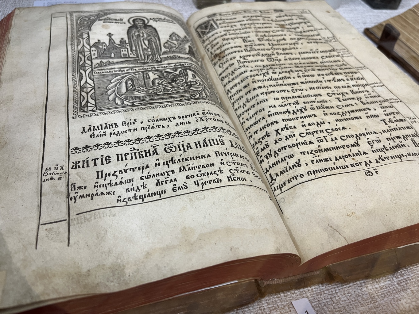 Антагонисты. История белого и черного цветов