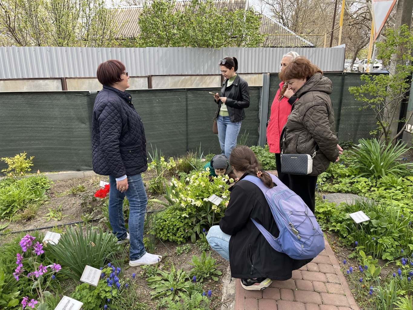 Знакомство с первоцветами в Гошпитальном саду