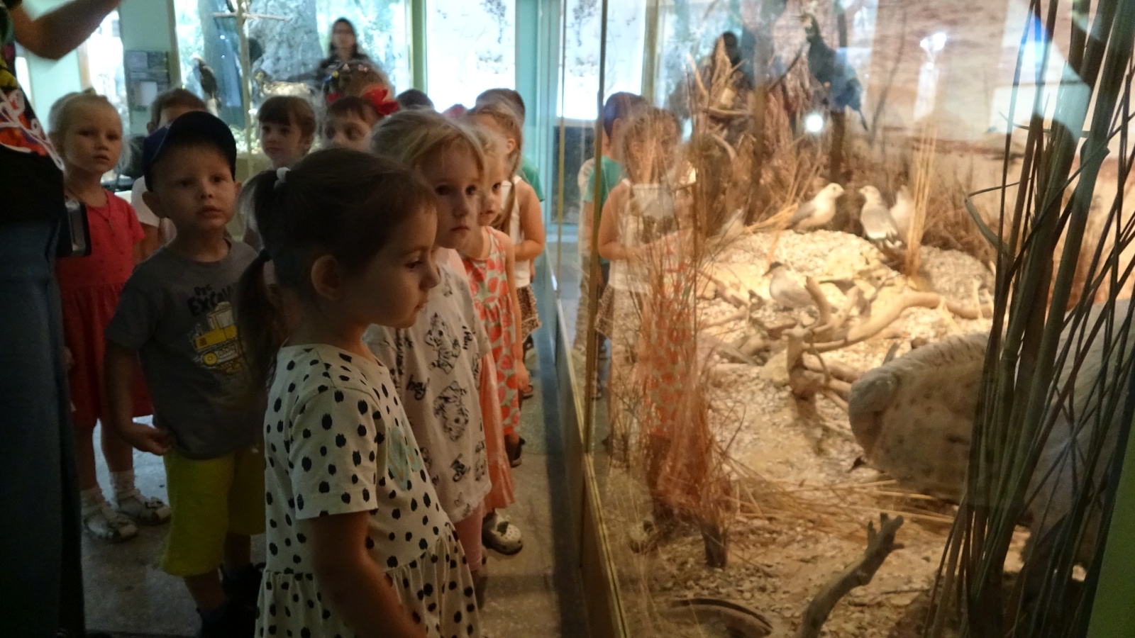 Начало высокого сезона Начало высокого сезона