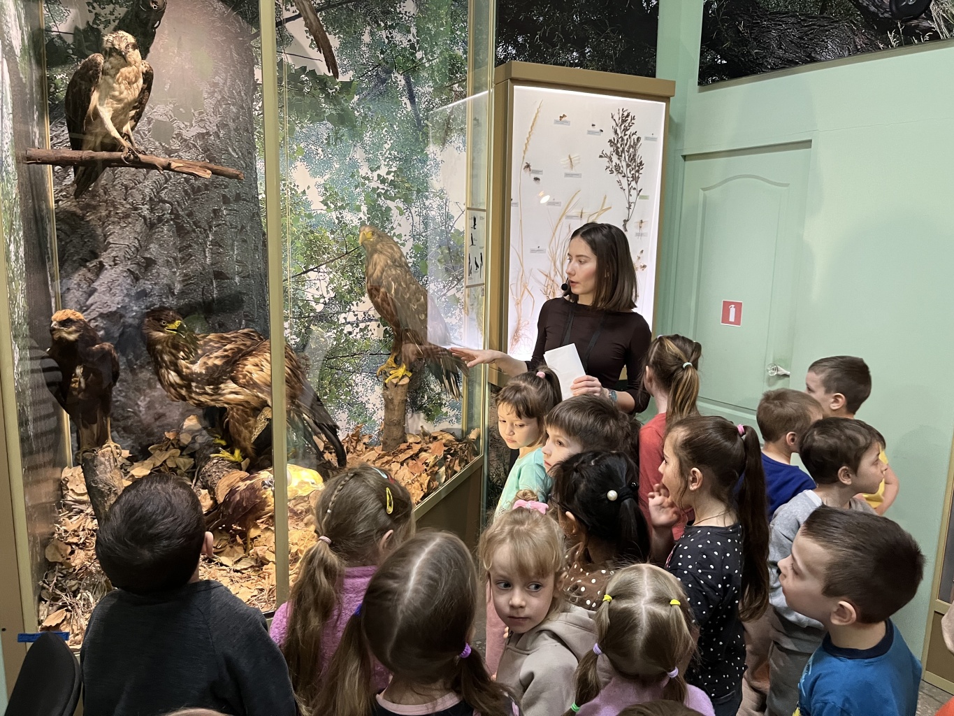 Мероприятие «Пернатые друзья»