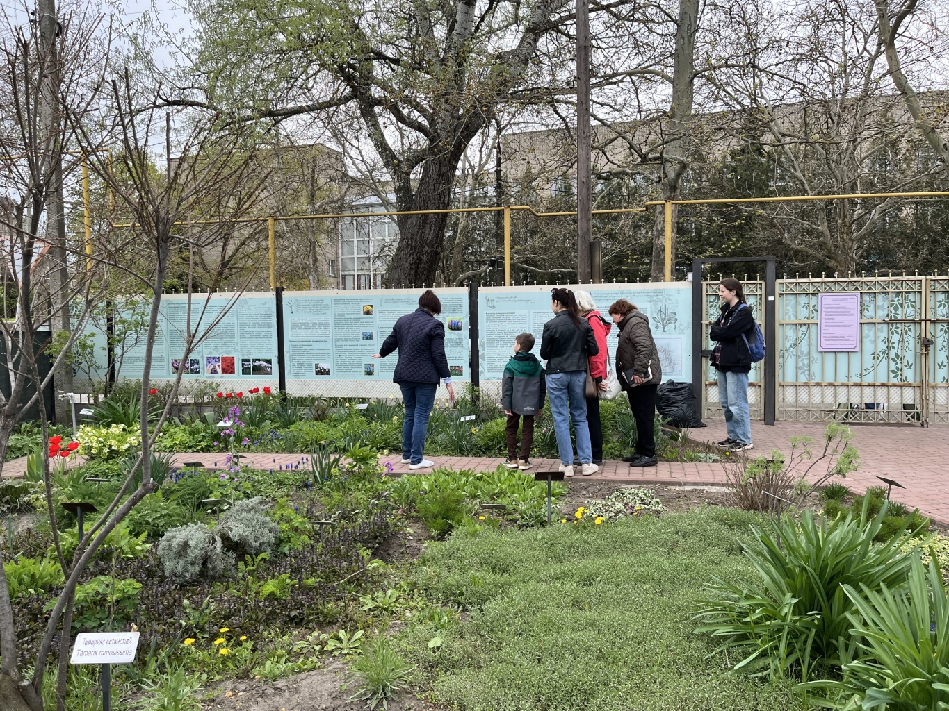 Культурно-просветительное мероприятие «Разгар весны! Буйство цветов и красок»